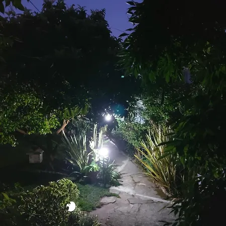 Casa Do Sobral Obidos