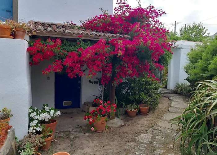 Casa Do Sobral 别墅 奥比多斯