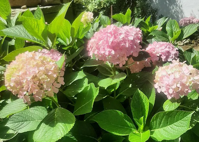 别墅 Casa Do Sobral