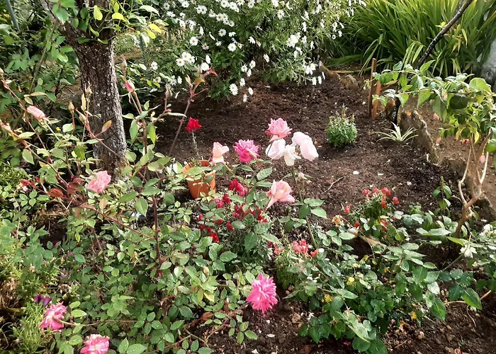 Casa Do Sobral 奥比多斯