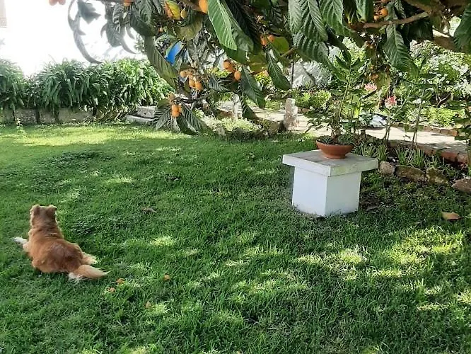 别墅 Casa Do Sobral *