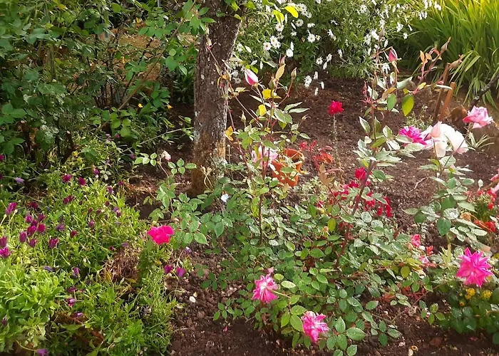 Casa Do Sobral 别墅