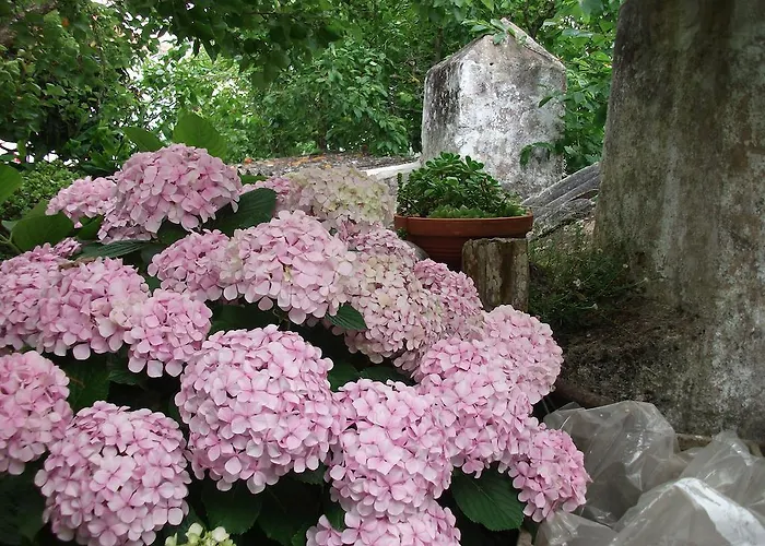 别墅 Casa Do Sobral 奥比多斯