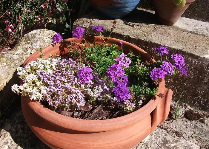 别墅 Casa Do Sobral 奥比多斯