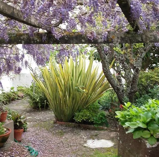 Casa Do Sobral * 奥比多斯