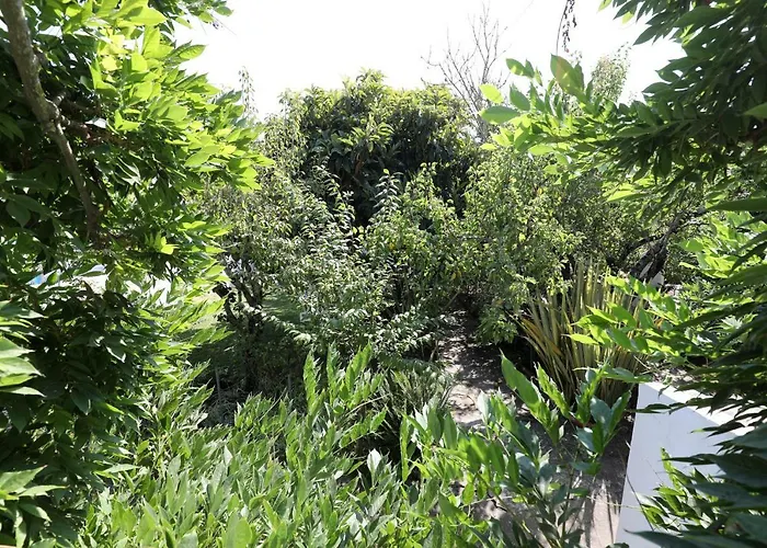 Casa Do Sobral 别墅 *